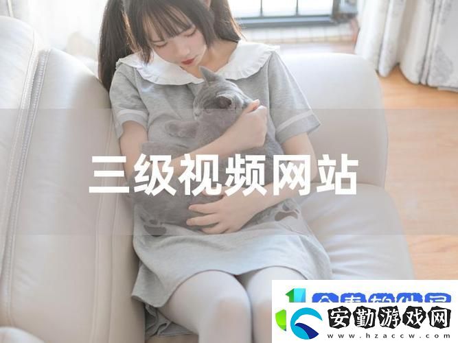 三年內(nèi)中國中文在線視頻