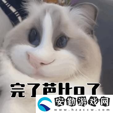 芭比q了梗的意思含義出處介紹