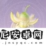 無(wú)限暖暖日光果在哪