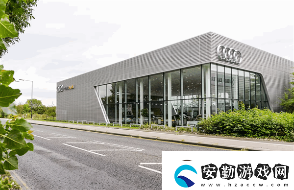 買奧迪當(dāng)嫁妝兩個(gè)月無法提車