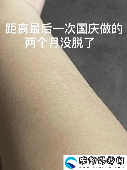 深入解析AAAA級(jí)毛與AAAA的區(qū)別