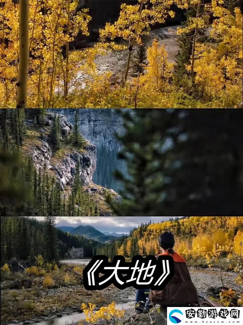 探索“大地資源視頻在線觀看免費高清”的無限可能