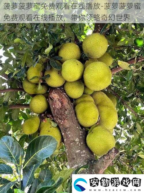 菠蘿菠蘿蜜免費觀看在線播放菠蘿菠蘿蜜免費觀看在線播放帶你領略奇幻世界