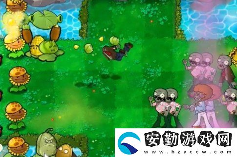 植物大戰(zhàn)僵尸雜交版冒險54關怎么放置植物