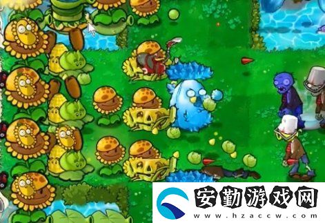 植物大戰(zhàn)僵尸雜交版冒險54關怎么放置植物