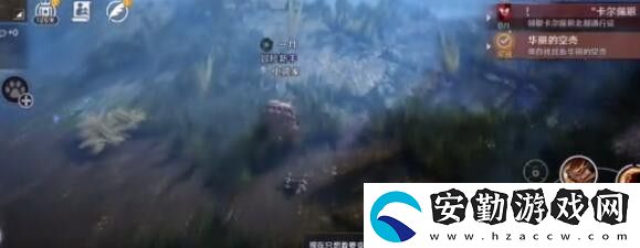 黑色沙漠手游華麗的空殼任務(wù)怎么做