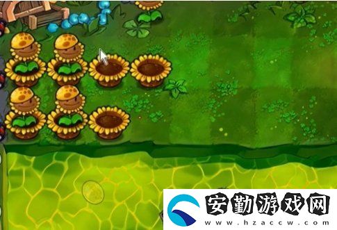 植物大戰(zhàn)僵尸雜交版冒險64關(guān)怎么放置植物