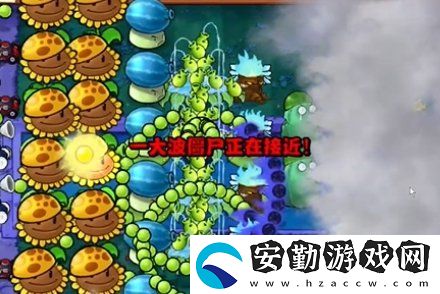 植物大戰(zhàn)僵尸雜交版冒險19關(guān)怎么快速過關(guān)