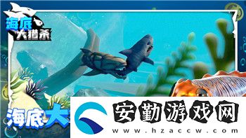 永恒空間2測評答案最新解析