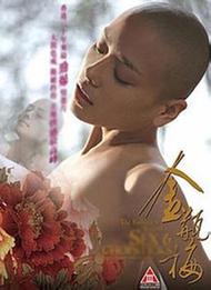 傳承與創(chuàng)新的結合——金花瓶楷梅花2正片的魅力
