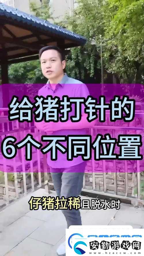 狩獵時(shí)刻挑戰(zhàn)毒豬全面解析毒豬打法策略與技巧攻略
