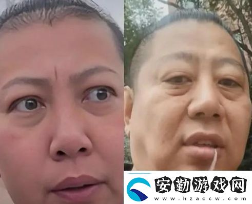 東北雨哥是什么梗絡(luò)用語(yǔ)東北雨哥梗意思及出處分享