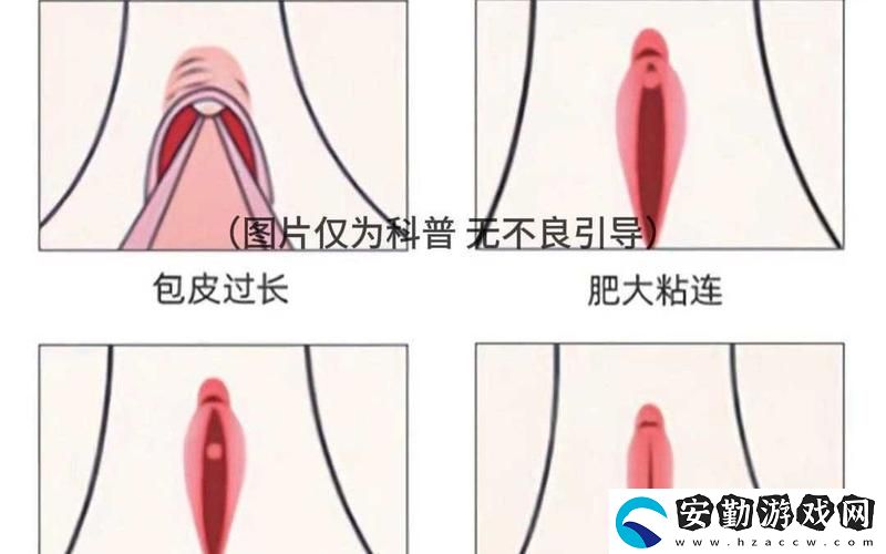 大蔭蒂BBBBBB大蔭蒂