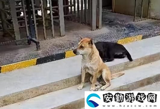 當(dāng)意外來(lái)襲