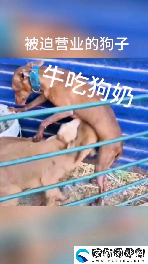 公天天吃我奶躁我