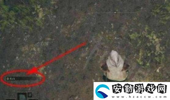 艾爾登法環(huán)全專用戰(zhàn)技武器強(qiáng)度分析