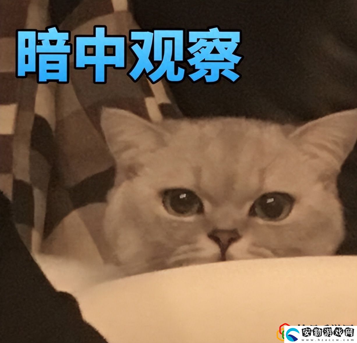 反恐精英經(jīng)典武器大盤點(diǎn)