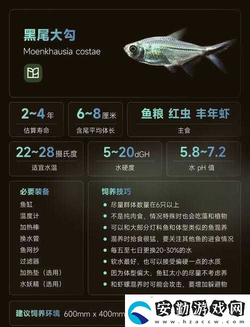 又大又長(zhǎng)又粗又大又黑且極具特色的奇妙事物