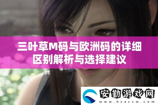 三葉草M碼與歐洲碼的詳細(xì)區(qū)別解析與選擇建議