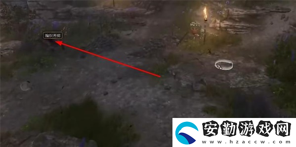 博德之門3里拉琴怎么獲得