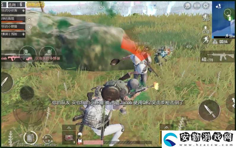 探索國外b站刺激戰(zhàn)場(chǎng)直播app的魅力與潛力