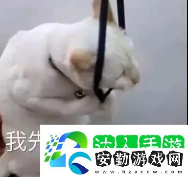 我先去下個(gè)世界了表情包
