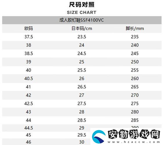 歐洲尺碼日本尺碼專線年費的重要性