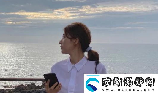 KDBACC.APK網站隱藏入口網友