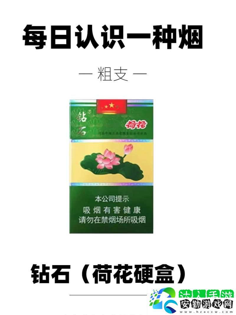 漫步在荷花1777ty的璀璨世界