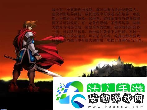 光明之魂2忍者加點詳解