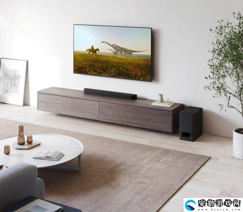 索尼新推Bravia