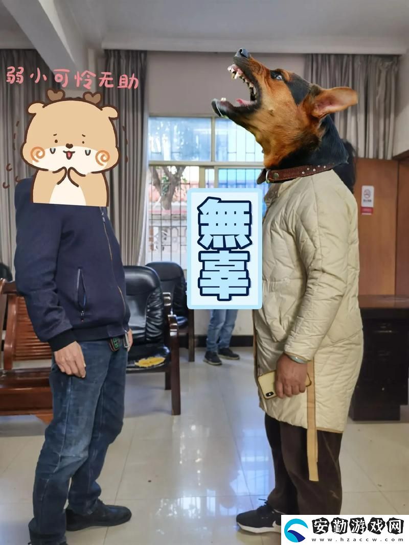 人狗畜禽companylimited