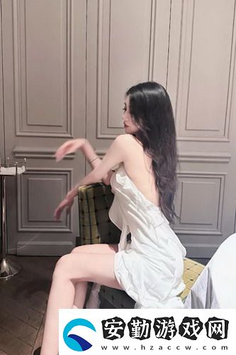 成品ppt站大片
