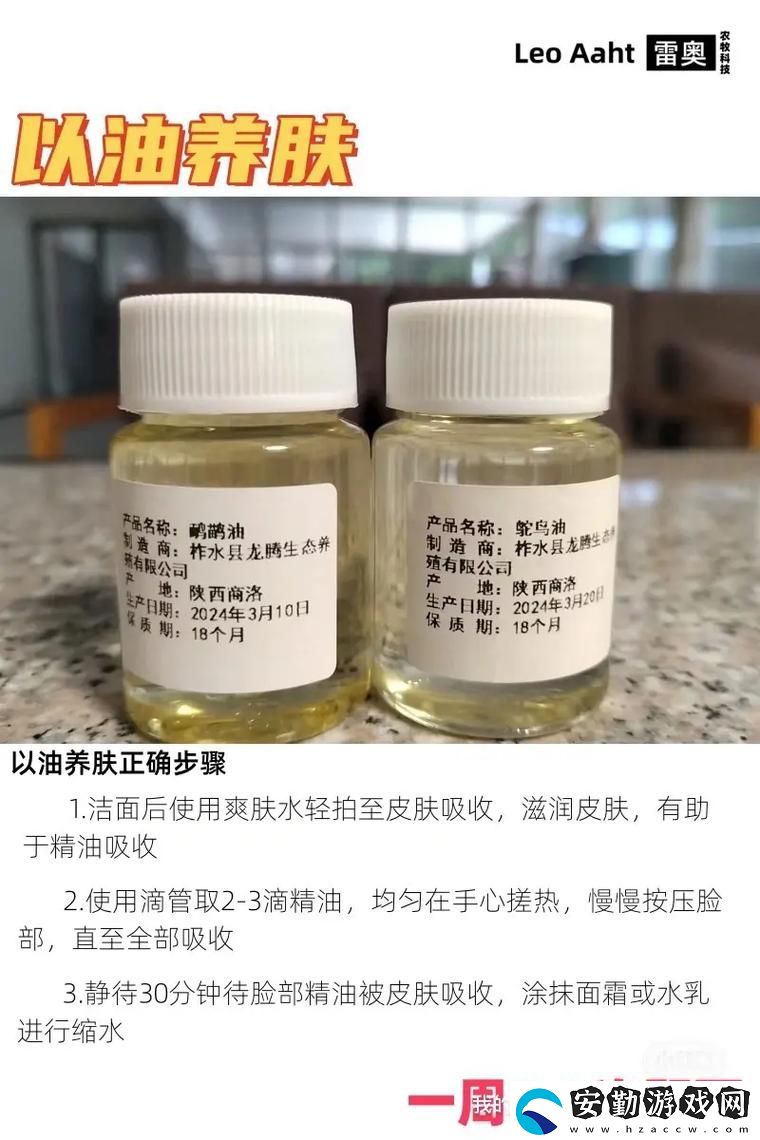 揭示漢字構(gòu)造的奧秘