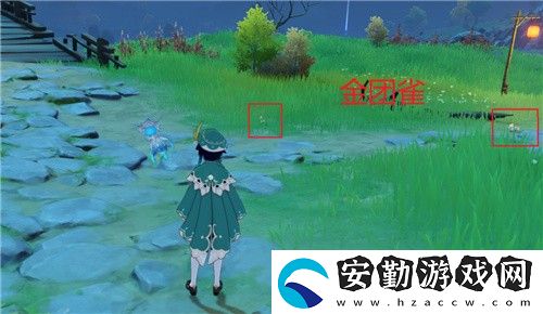原神金團雀在什么地方
