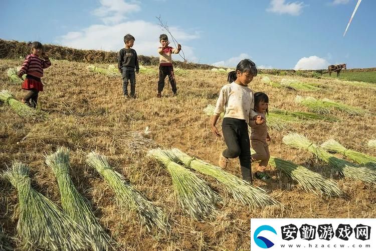 兒子辛勤耕耘母親的土地