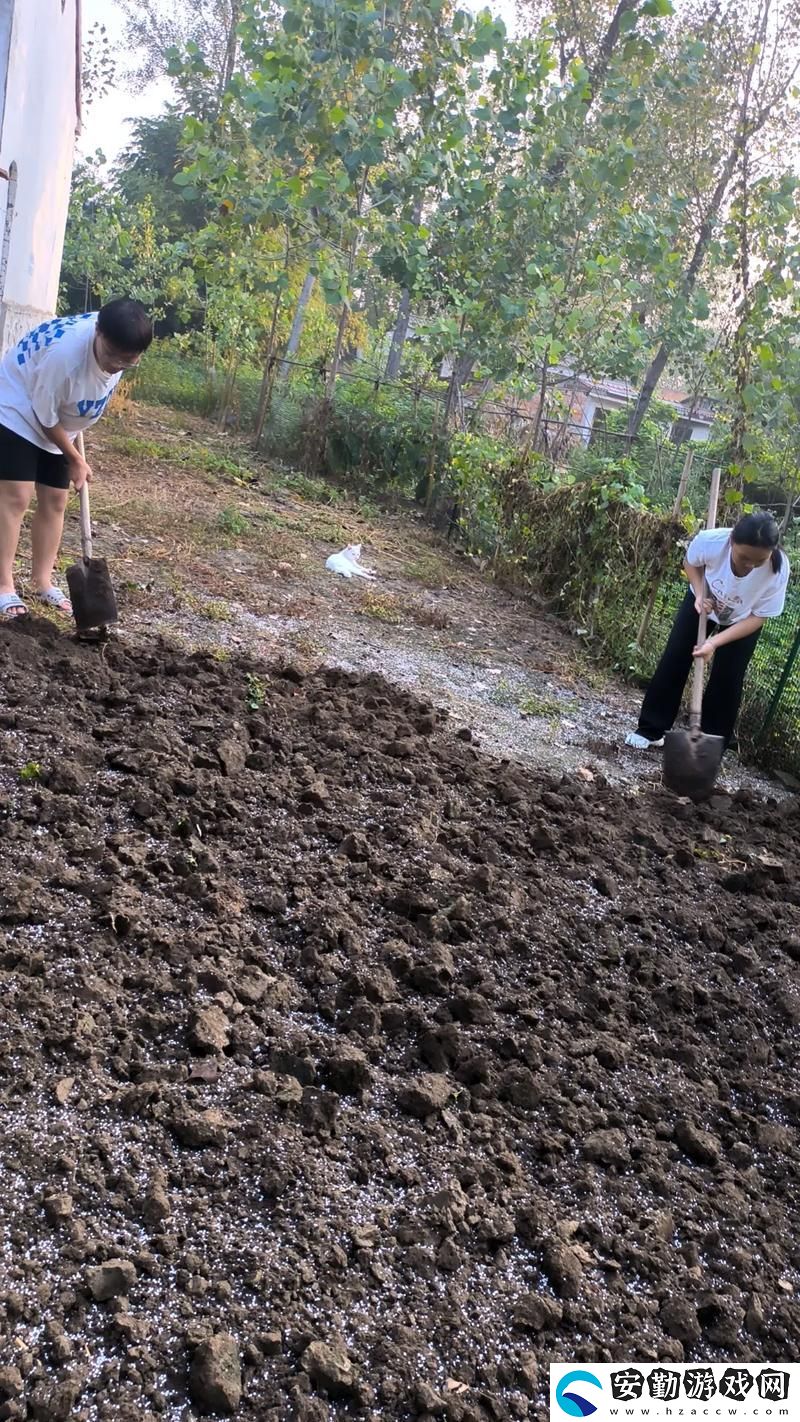內(nèi)容深刻兒子在母親的土地上辛勤耕耘