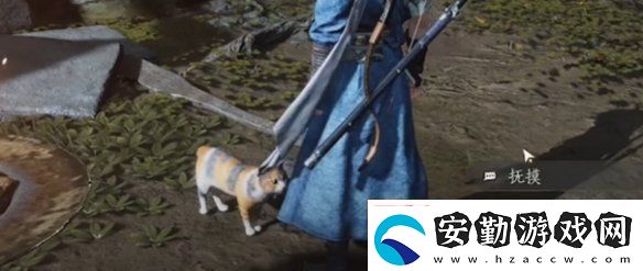 燕云十六聲浣石浦貓咪在哪