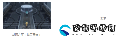 寶可夢(mèng)晶燦鉆石玫瑰公園傳說(shuō)寶可夢(mèng)捕捉方法