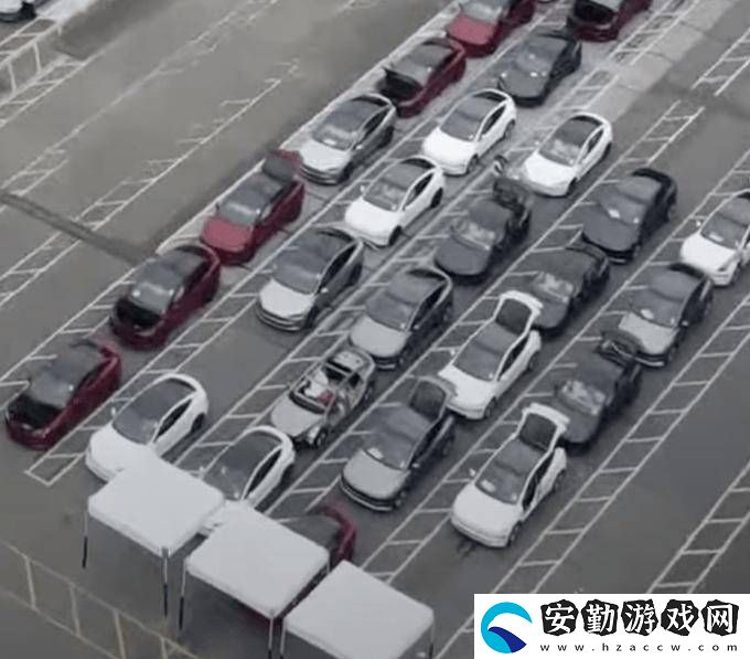 特斯拉平價新車型“Model