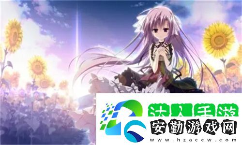 在線高清mv無(wú)字幕視頻素材