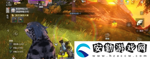 妄想山海莽草位置介紹